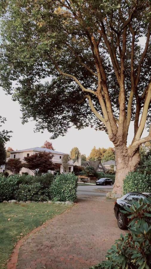 فندق فانكوفرفي  Big Tree In المظهر الخارجي الصورة